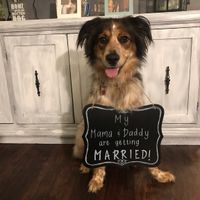 Did you announce your engagement on social media? - 1