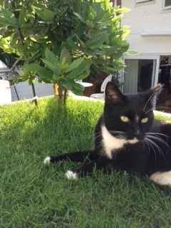 NWR: Lets See Your Fur Babies!