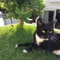 NWR: Lets See Your Fur Babies!