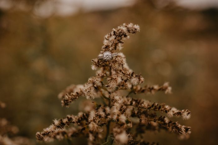 Moissanite Rings... is it a secret or should i share? 4