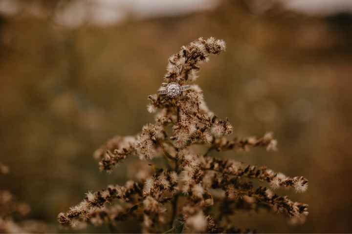 Moissanite Rings... is it a secret or should i share? - 1