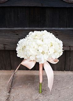 Flower help!