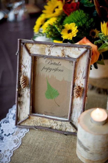 Table numbers...any ideas?