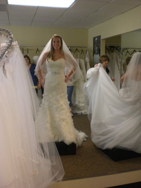 Anyone have there wedding dress picked out? Pics?