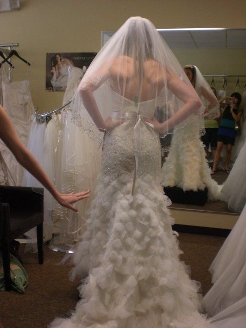 Anyone have there wedding dress picked out? Pics?