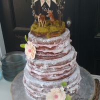 Just Married non pro pics