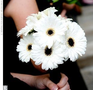 what kind of flowers is everyone doing???? pics