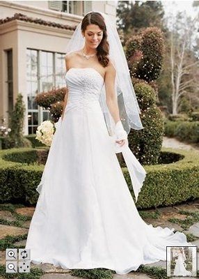 Calling all David's Bridal Brides... Let's see all the dresses and see who's dress twins! :D