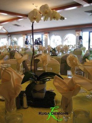 Centerpieces!