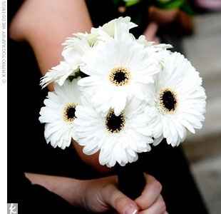 what kind of flowers is everyone doing???? pics