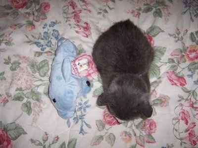 NWR: sleepless nights are pushing me to the edge