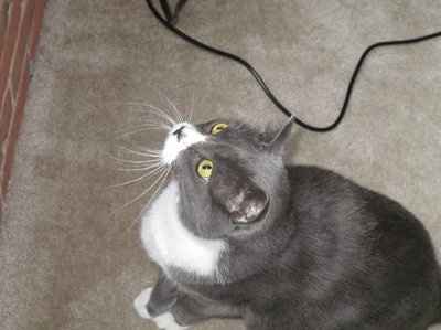 NWR: sleepless nights are pushing me to the edge