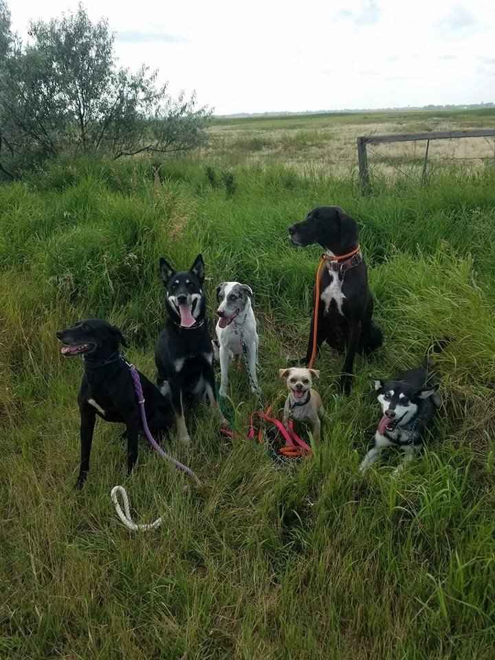 Show me those puppies!