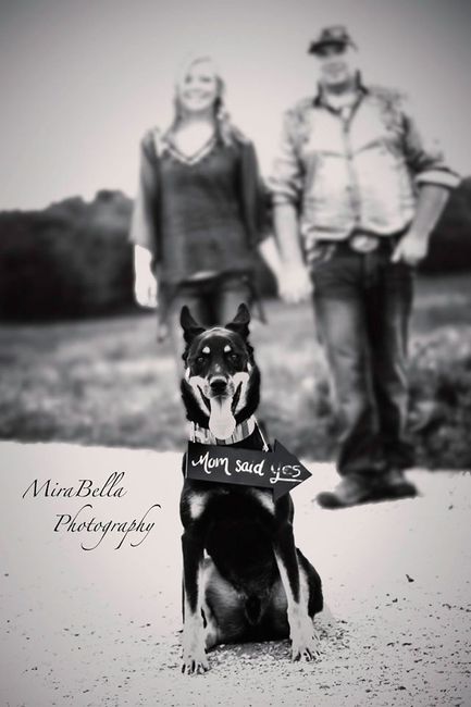 Engagement/wedding photos with pets?