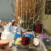 Manzanita centerpieces