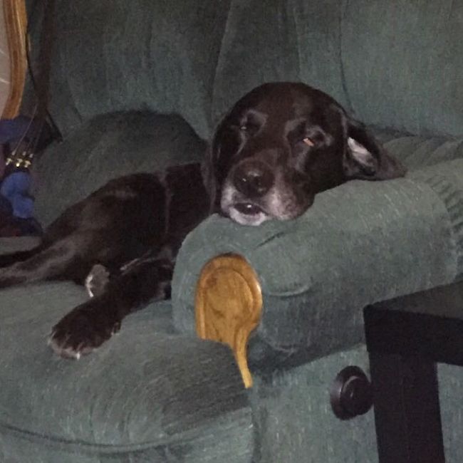 NWR: New fur baby!