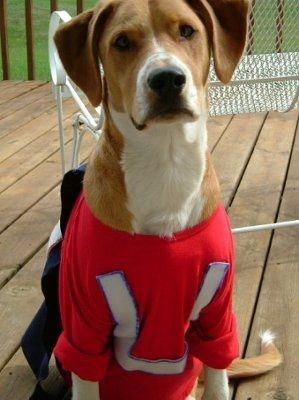 I love my Dog. NWR.