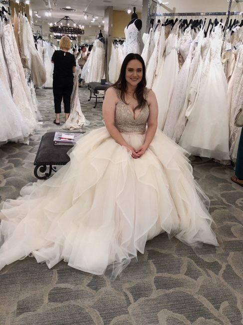 Dress Fitting