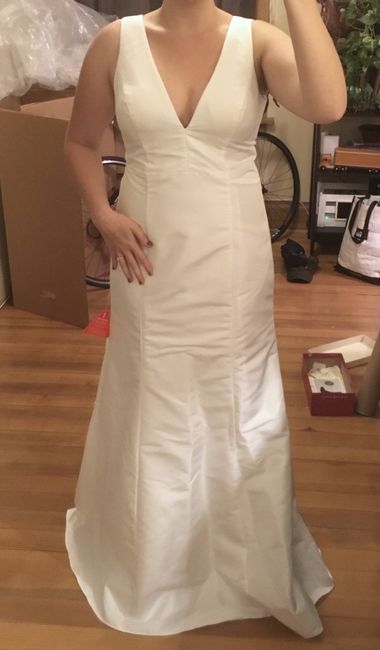 Shape wear and under garment recommendations needed