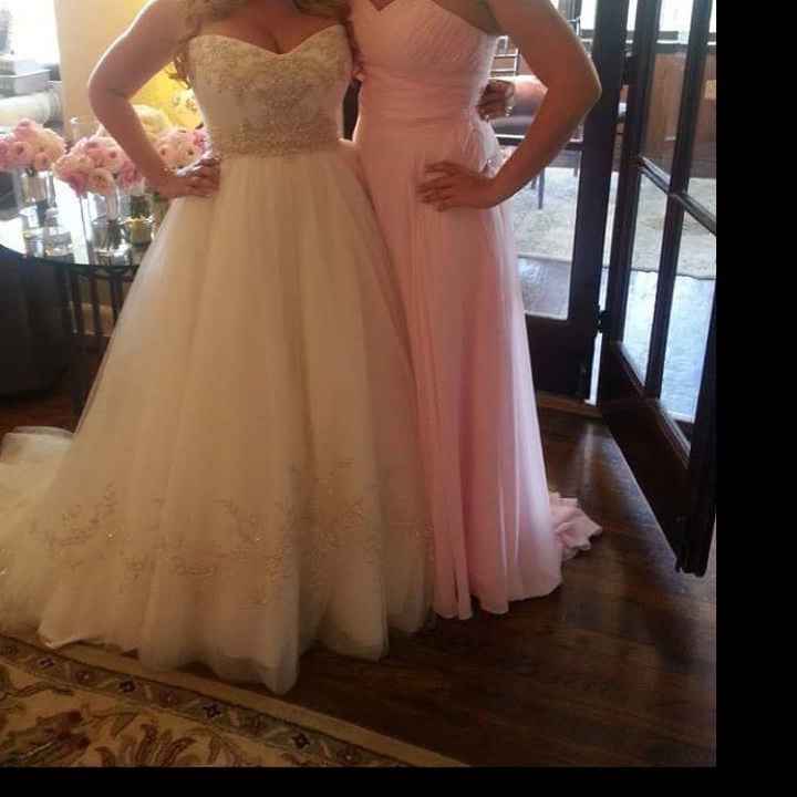  Bridesmaid Dress help - 1