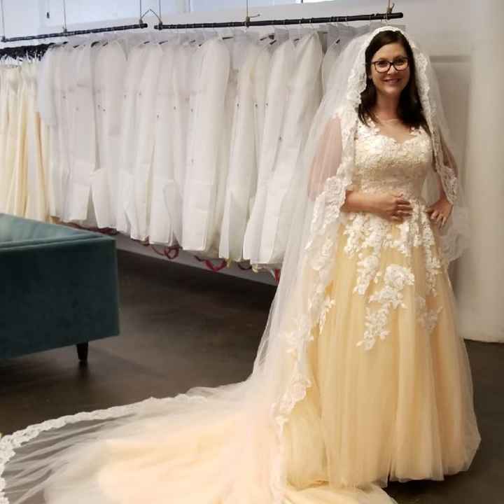 To Veil or Not To Veil? - 1