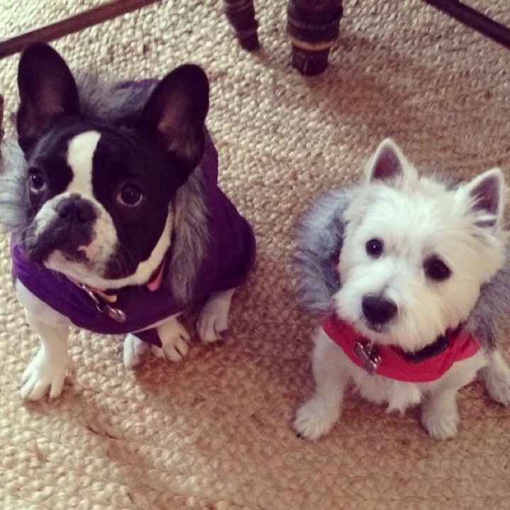 NWR: post pics of your pets!!