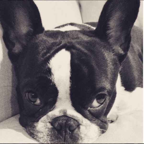 NWR- pets! We love them show me yours :)