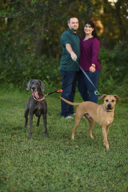 ENGAGEMENT PICS BACK!!