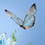 Aqibmovingcompany