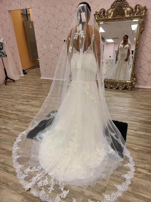 Let Me See Your Dresses!! - 2