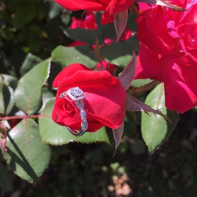 Engagement rings!