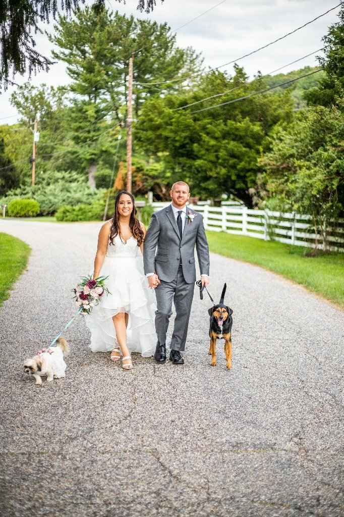 bam - Backyard wedding edition - 5