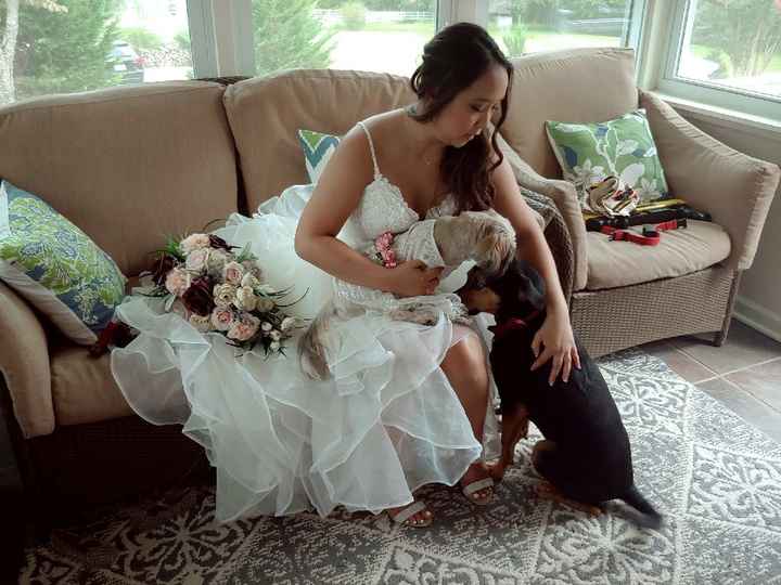 bam - Backyard wedding edition - 9