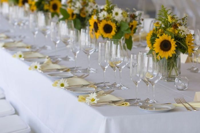 DIY here we go ! Please help