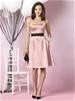 Bridesmaid dress colours dilemma......please give opinions