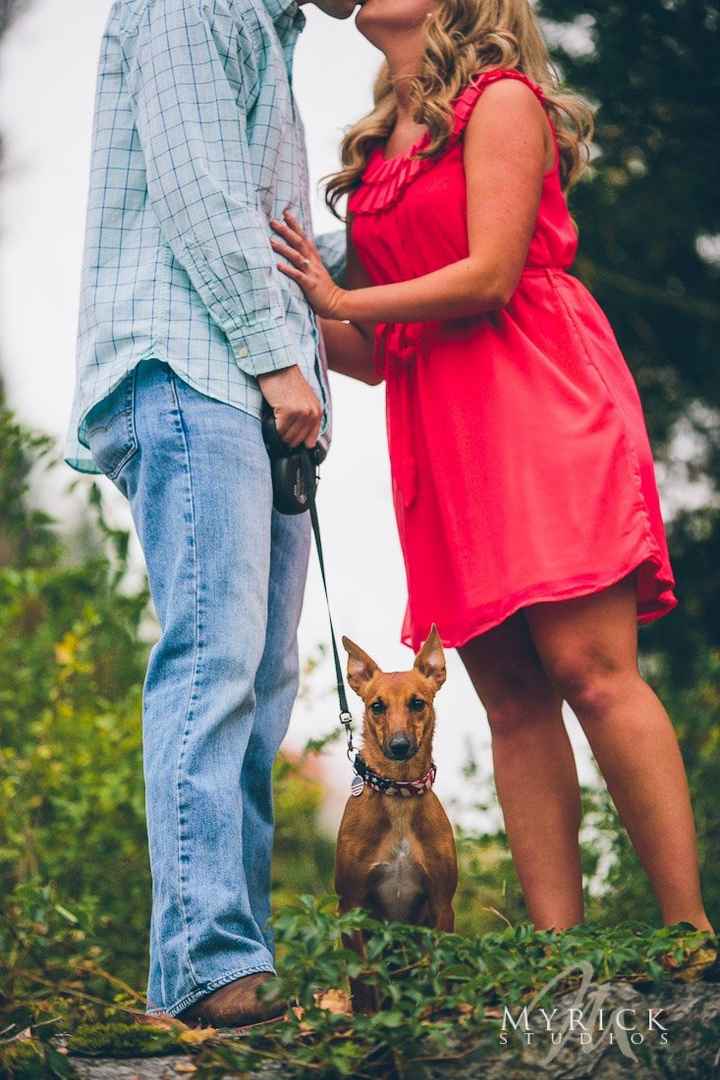Keeping my mind of my wedding...Show me your dog:)!!**Pics