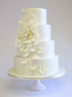 Lets see your cake inspiration?!
