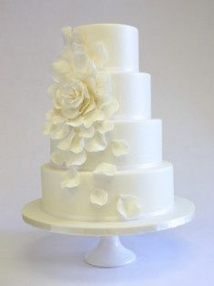 Lets see your cake inspiration?!