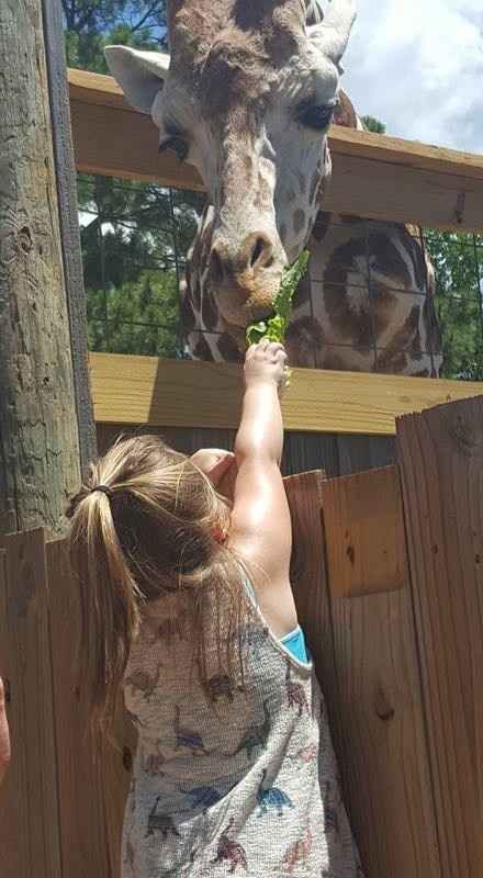 Back and Honeymooned!