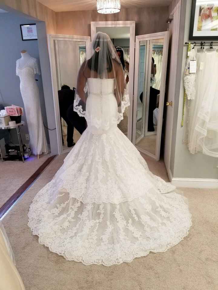 Veil Length Opinions - 1