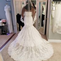 Veil Length Opinions - 1