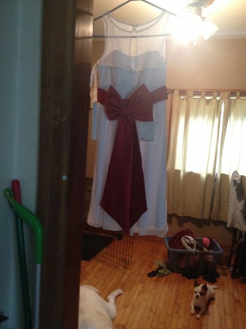 Flower girl dress came in!