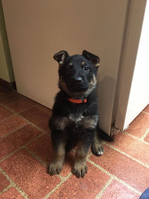 NWR- let me see your fur babies, awake and scared