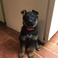 NWR- let me see your fur babies, awake and scared