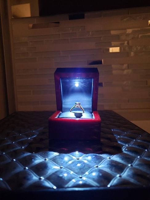 How did FS propose? 3