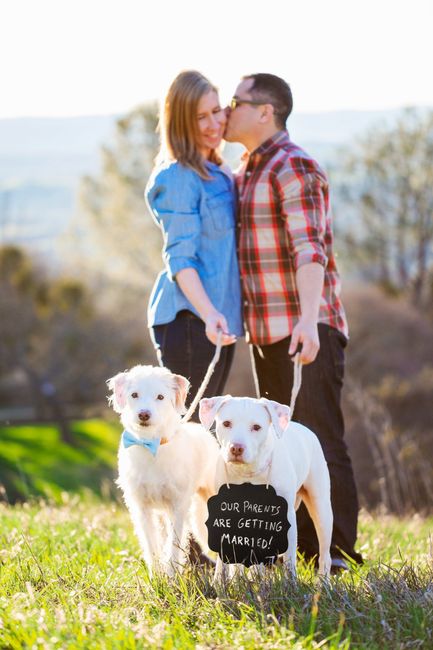 Let's see your engagement photos :)