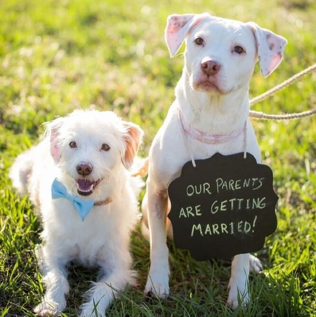 Show me those puppies!