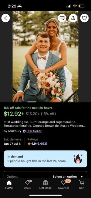 Insight for Wedding Party Mix-matched Colors 6