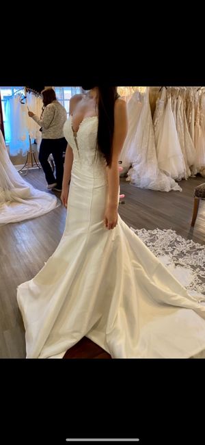 i need help! Mikado Silk or Beaded Tulle? - 1