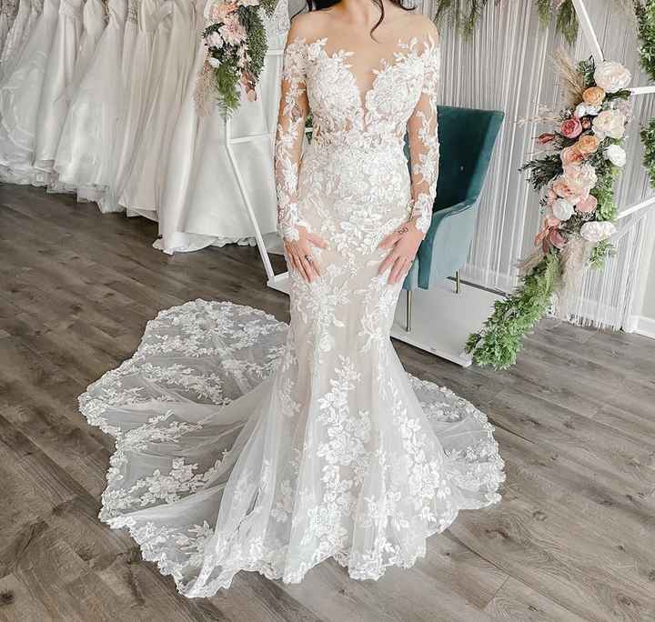 Help me find a veil! - 1